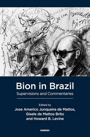 Bion in Brazil: Supervisions and Commentaries de Jose America Junqueira de Mattos