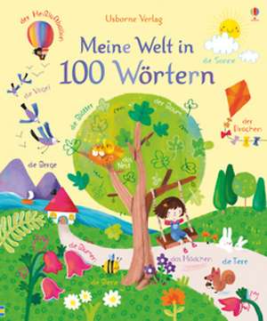 Meine Welt in 100 Wörtern de Felicity Brooks