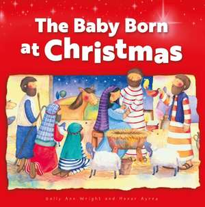 Baby Born at Christmas de Sally Ann Wright