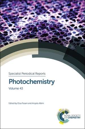 Photochemistry de Angelo Albini