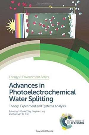 Advances in Photoelectrochemical Water Splitting de S David Tilley