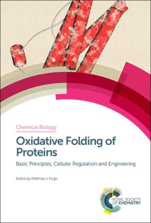 Oxidative Folding of Proteins de Matthias J Feige