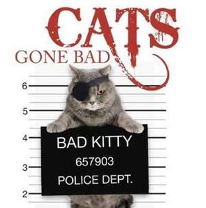 Cats Gone Bad de Amber Books