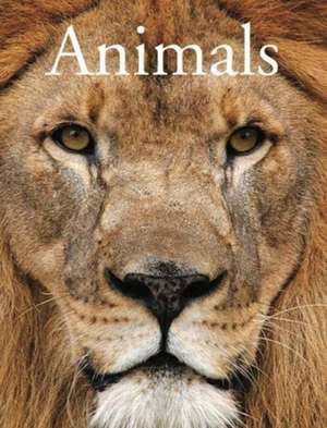 Animals de David Alderton