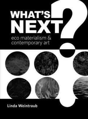 What's Next?: Eco Materialism and Contemporary Art de Linda Weintraub