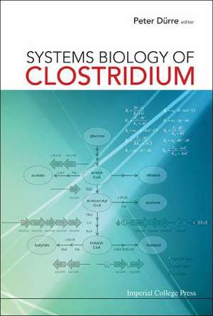 Systems Biology of Clostridium de Peter Durre