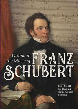 Drama in the Music of Franz Schubert de Joe Davies