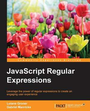 JavaScript Regular Expressions de Gabriel Manricks