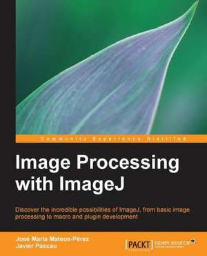 Image Processing with Imagej: Blocks de Javier Pascau