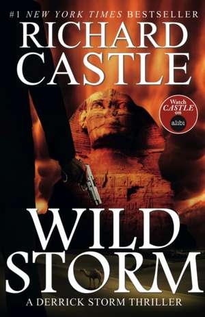 Wild Storm de Richard Castle