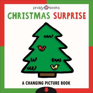 Christmas Surprise de Priddy Books