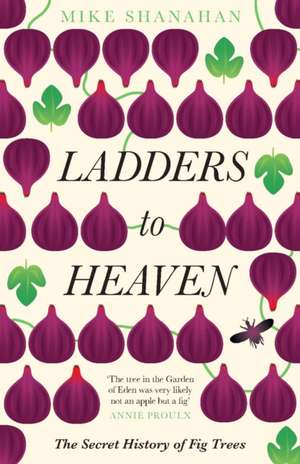 Shanahan, M: Ladders to Heaven