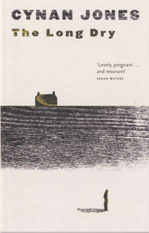 Long Dry de Cynan Jones