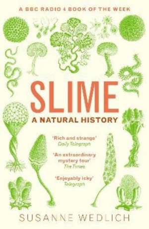 Slime de Susanne Wedlich