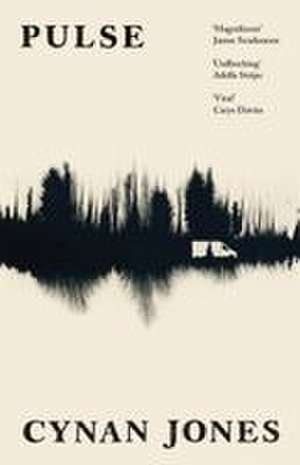 Pulse de Cynan Jones