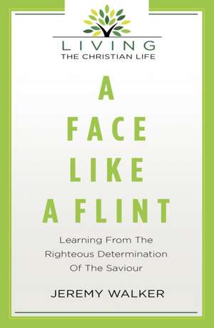 A Face Like a Flint de Jeremy Walker