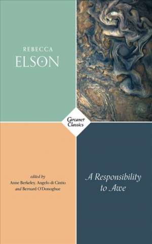 A Responsibility to Awe de Rebecca Elson