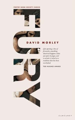 FURY de David Morley