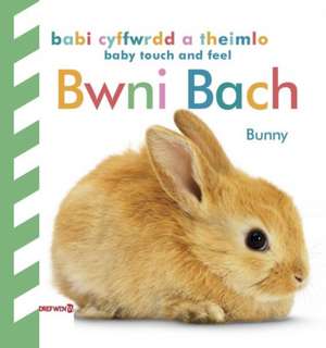 Babi Cyffwrdd a Theimlo: Bwni Bach / Baby Touch and Feel: Bunny de Dk