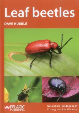 Leaf beetles de Dave Hubble