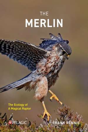 The Merlin de Frank Rennie