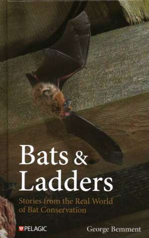 Bats & Ladders de George Bemment