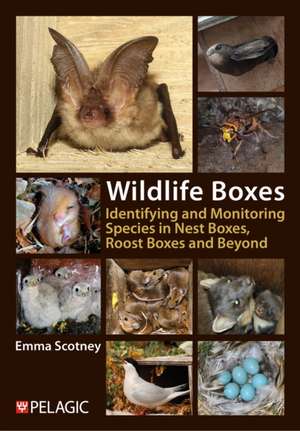 Wildlife Boxes de Emma Scotney