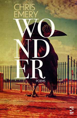 Wonder de Chris Emery