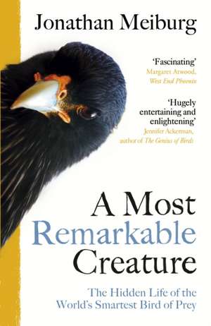 A Most Remarkable Creature de Jonathan Meiburg