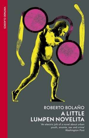 A Little Lumpen Novelita de Roberto Bolano