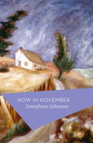 Now In November de Josephine Johnson