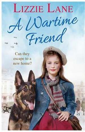 A Wartime Friend de Lizzie Lane