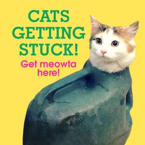 Cats Getting Stuck! de Ebury Press