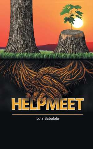 Helpmeet de Lola Babalola