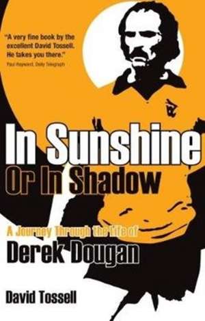 In Sunshine or in Shadow de David Tossell