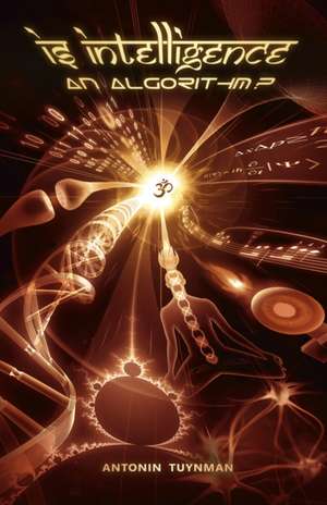 Tuynman, A: Is Intelligence an Algorithm?