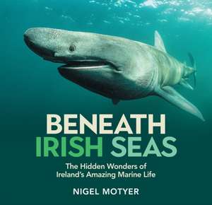 Beneath Irish Seas de Nigel Motyer