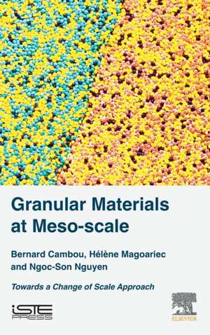 Granular Materials at Meso-scale: Towards a Change of Scale Approach de Bernard Cambou