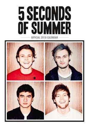 5 Seconds of Summer Official 2018 Calendar A3 Poster Format