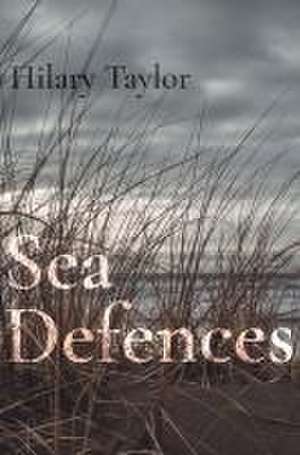 Sea Defences de Taylor Hilary