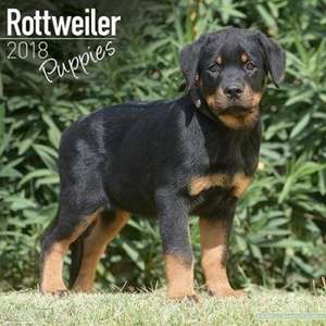 Rottweiler Puppies Calendar 2018 de Avonside Publishing Ltd.