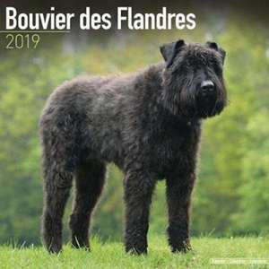 Bouvier des Flandres Calendar 2019 de Avonside Publishing Ltd