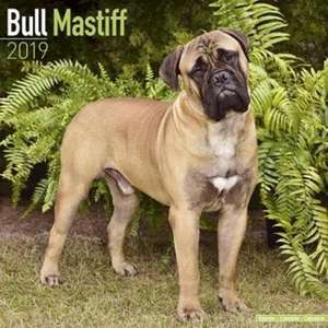 Bull Mastiff Calendar 2019 de Avonside Publishing Ltd