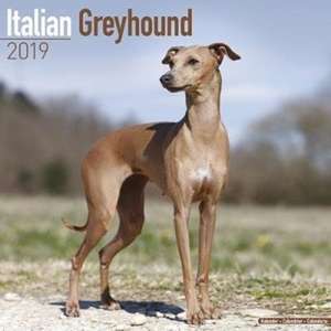 Italian Greyhound Calendar 2019 de Avonside Publishing Ltd