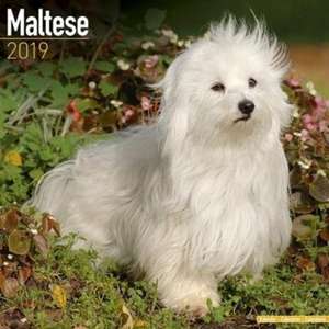 Maltese Calendar 2019 de Avonside Publishing Ltd