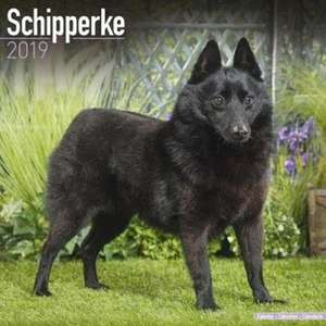 Schipperke Calendar 2019 de Avonside Publishing Ltd