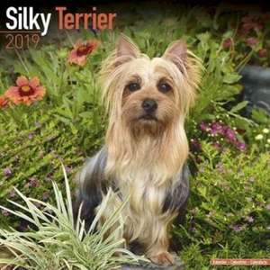 Silky Terrier Calendar 2019 de Avonside Publishing Ltd