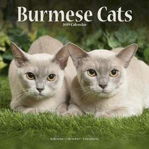 Burmese Cats Calendar 2019 de Avonside Publishing Ltd