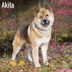 Akita Calendar 2020 de Avonside Publishing Ltd