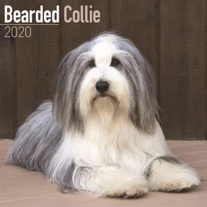 Bearded Collie Calendar 2020 de Avonside Publishing Ltd